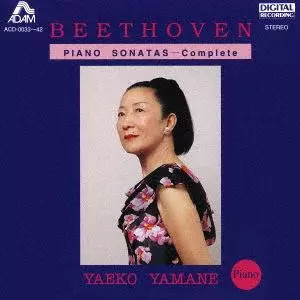 ベートーヴェン ピアノソナタ全集 山根弥生子 10枚組 YAEKO YAMANE / 山根弥生子商品一覧｜PROGRESSIVE ROCK｜ディスク