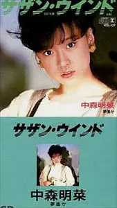 サザン・ウインド/AKINA NAKAMORI/中森明菜｜日本のロック｜ディスク