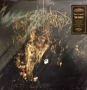 WOLVES IN THE THRONE ROOM / ウルブズ・イン・ザ・スローン・ルーム / TWO HUNTERS