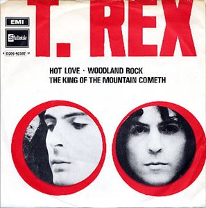 hot-love-t-rex-t-old-rock-diskunion