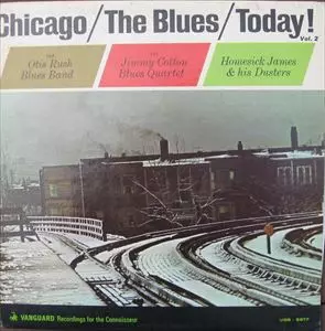 JIMMY COTTON / OTIS RUSH / HOMESICK JAMES / CHICAGO / THE BLUES / TODAY VOL. 2