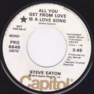 STEVE EATON / スティーヴ・イートン商品一覧｜ディスクユニオン