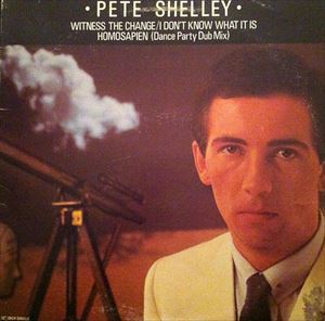 PETE SHELLEY / WITNESS THE CHANGE