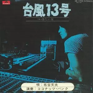 FUMIO NUNOYA / 布谷文夫 / 台風13号