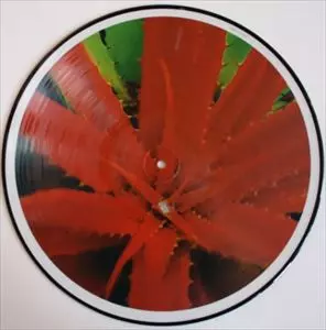 Jejune – R.I.P. – CD (Compilation), 2000 [r2782759] | Discogs