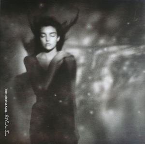 THIS MORTAL COIL / ディス・モータル・コイル / IT'LL END IN TEARS