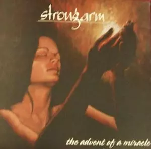 STRONGARM / ストロングアーム商品一覧｜PUNK｜ディスクユニオン