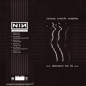 NINE INCH NAILS / ナイン・インチ・ネイルズ / DOWN IN IT