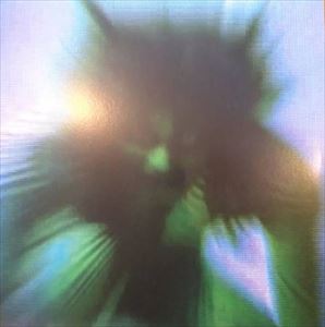 YVES TUMOR / イヴ・トゥモア / SAFE IN THE HANDS OF LOVE (LIMITED EDITION DOUBLE CLEAR VINYL)