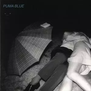 Puma Blue SWUM BABY 新品未使用レコード SWUM BABY/PUMA BLUE｜HIPHOP/R&B｜ディスクユニオン