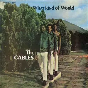 CABLES / ケイブルズ / WHAT KIND OF WORLD