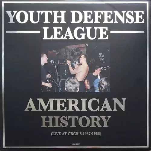 【オリジナルレア盤】Youth Defense League LP YOUTH DEFENSE LEAGUE商品一覧｜PUNK｜ディスクユニオン・オンライン