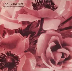 SUNDAYS / サンデイズ商品一覧｜ROCK / POPS / INDIE｜ディスク