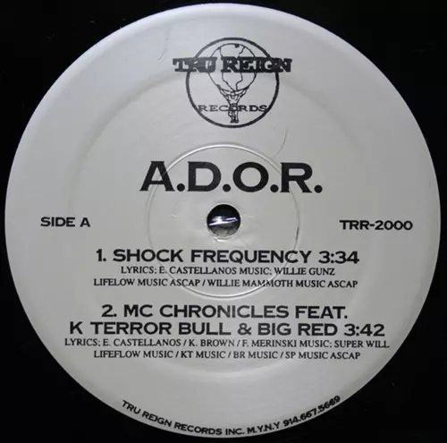 SHOCK FREQUENCY 12