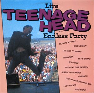 TEENAGE HEAD / ティーンエイジヘッド / ENDLESS PARTY