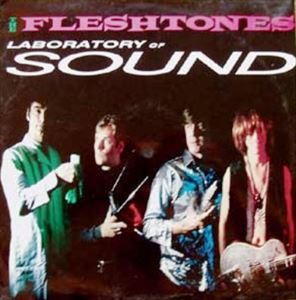 FLESHTONES / フレッシュトーンズ / LABORATORY OF SOUND