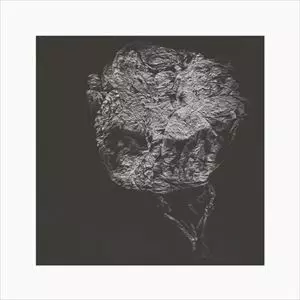 DAVID TOOP / デイヴィッド・トゥープ / ENTITIES INERTIAS FAINT BEINGS