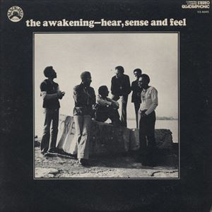 AWAKENING / アウェイクニング / HEAR SENSE AND FEEL