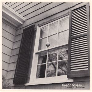 BEACH FOSSILS / ビーチ・フォッシルズ / WHAT A PLEASURE (12")