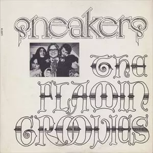 FLAMIN GROOVIES / SNEAKERS