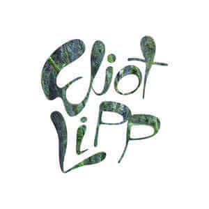 ELIOT LIPP / COME TO LIFE