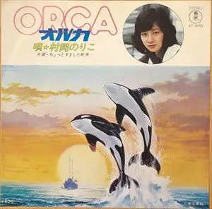 【中古】 オルカの歌が聞こえる Amazon.co.jp: オルカの歌が聞こえる : 高橋 健: Japanese Books