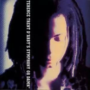 TERENCE TRENT D'ARBY / テレンス・トレント・ダービー商品一覧