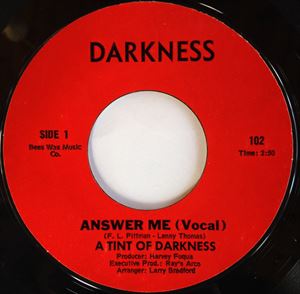 A TINT OF DARKNESS / ANSWER ME(VOCAL)