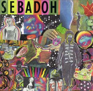SEBADOH / セバドー / SMASH YOUR HEAD ON THE PUNK ROCK