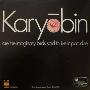 SPONTANEOUS MUSIC ENSEMBLE / スポンティニアス・ミュージック・アンサンブル / KARYOBIN ARE THE IMAGINARY BIRDS SAID TO LIVE IN PARADISE
