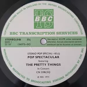 PRETTY THINGS / プリティ・シングス / STEREO POP SPECIAL-85