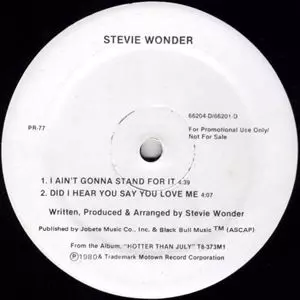 STEVIE WONDER / スティーヴィー・ワンダー / I AIN'T GONNA STAND FOR IT / DID I HEAR YOU SAY YOU LOVE ME