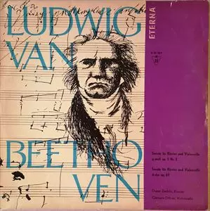 DIETER ZECHLIN / ディータ―・ツェヒリン商品一覧｜PUNK｜ディスク