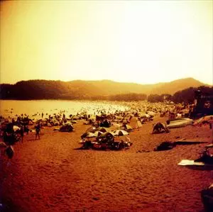 Lamp 八月の詩情 LP Vinyl アナログレコード 八月の詩情/Lamp/ランプ｜日本のロック｜ディスクユニオン・オンライン