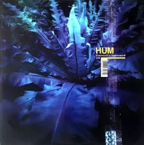 HUM Downword is Heavenward レコード Hum - Downward Is Heavenward | Polyvinyl Record Co.