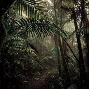 MADE IN M &  SMUV / NEST