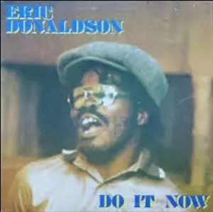 レゲエ WHAT A FESTIVAL ERIC DONALDSON レコード ERIC DONALDSON / エリック・ドナルドソン商品一覧｜ディスクユニオン