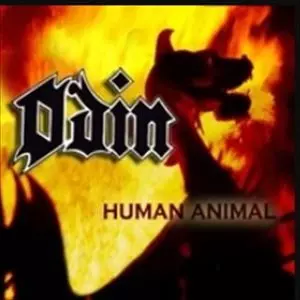 Odin \"Best Of\" CD【輸入盤】 ODIN / オーディン商品一覧｜LATIN/BRAZIL/WORLD MUSIC