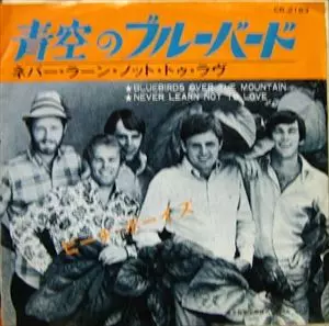 青空のブルーバード/BEACH BOYS/ビーチ・ボーイズ｜OLD ROCK｜ディスク