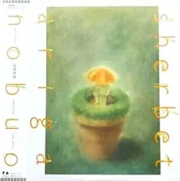 NOBUO ARIGA / 有賀啓雄 / シャーベット
