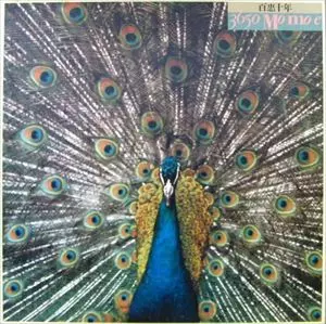 百恵十年 3650 MOMOE/MOMOE YAMAGUCHI/山口百恵｜日本のロック