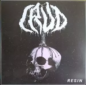 CRUD / RESIN