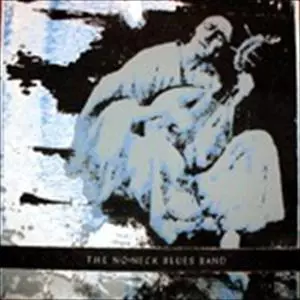 NO NECK BLUES BAND / ノー・ネック・ブルース・バンド / HOICHOI