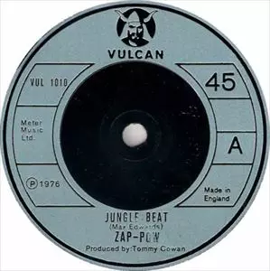 ZAP POW商品一覧｜ディスクユニオン・オンラインショップ｜diskunion.net