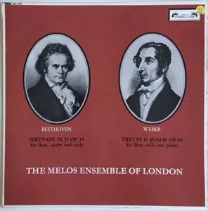 MELOS ENSEMBLE / メロス・アンサンブル商品一覧｜PUNK｜ディスク