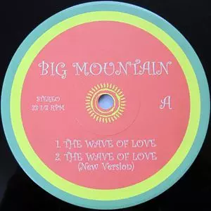 BIG MOUNTAIN レコード レア盤 Yahoo!オークション -「mountain)」(レゲエ) (ワールド