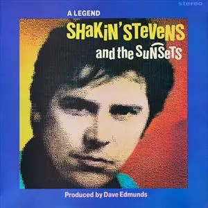 SHAKIN' STEVENS商品一覧｜PUNK｜ディスクユニオン・オンライン