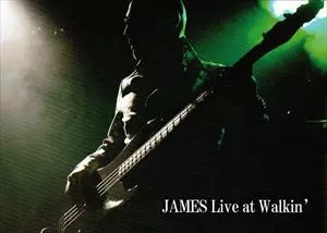 YOJI ICHIKAWA / 市川"James"洋二 / JAMES LIVE AT WALKIN'