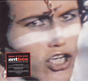 ADAM AND THE ANTS / アダム・アンド・ジ・アンツ / ANTBOX