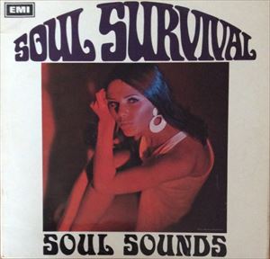 entertaiment soul survival レコード hiphop オファー